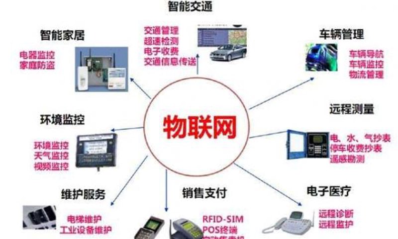 迈伟大步,智联未来:浙江智能科技企业的崛起与创新